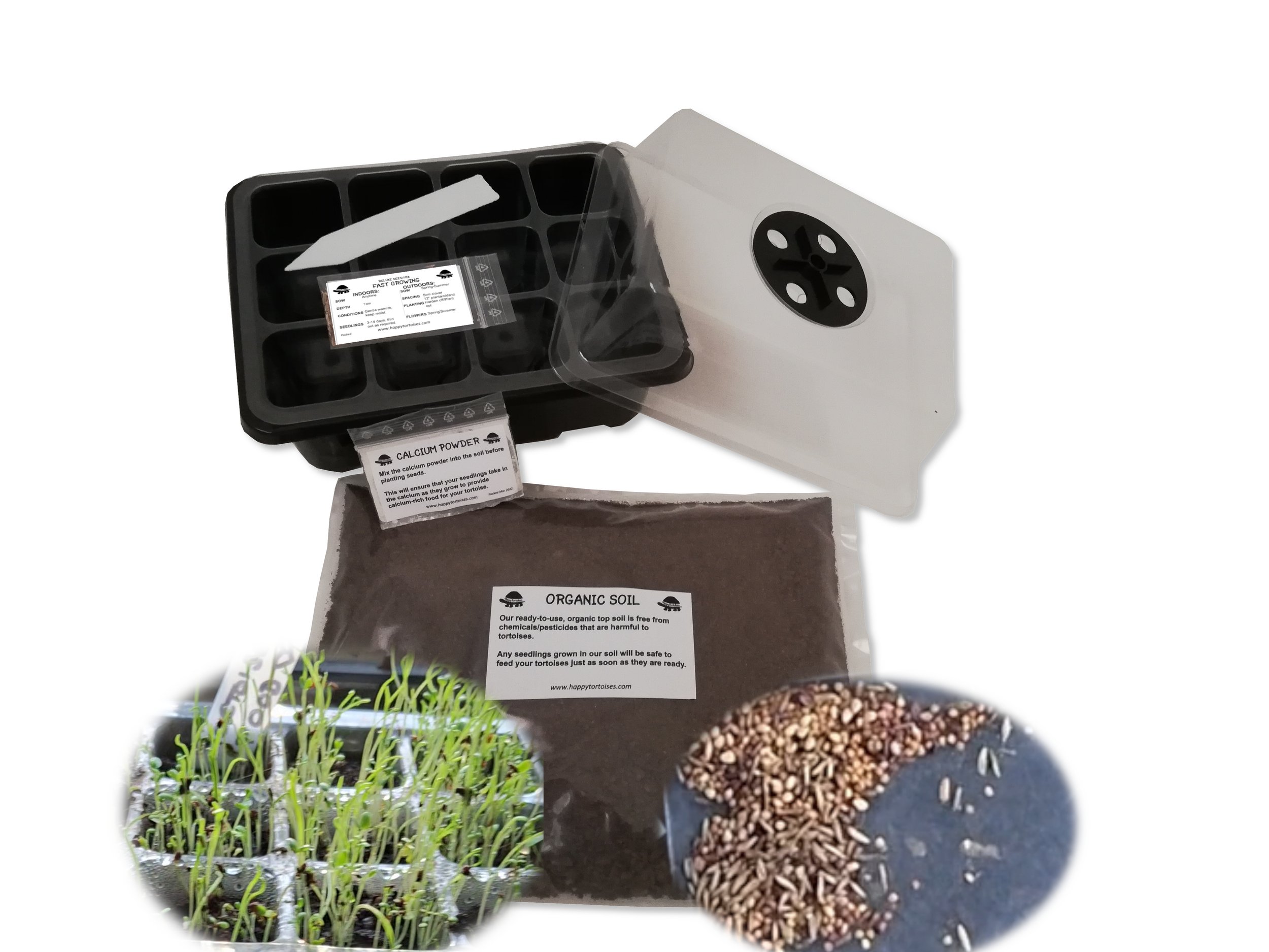 Grow your own tortoise food - starter kit — HappyTortoises